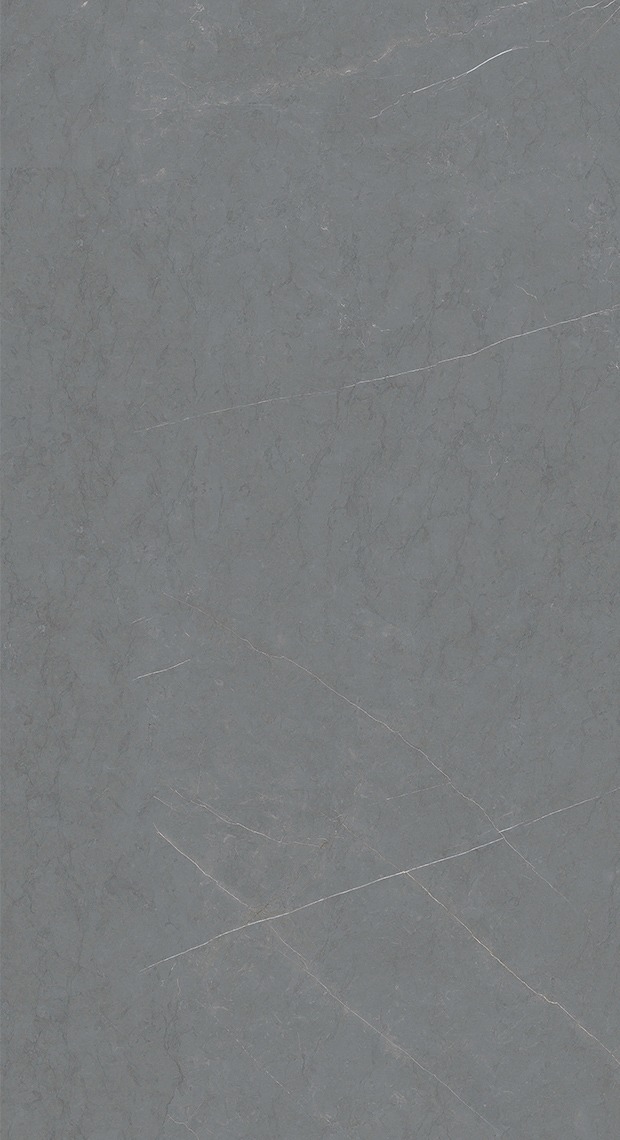 保加利亚灰中灰