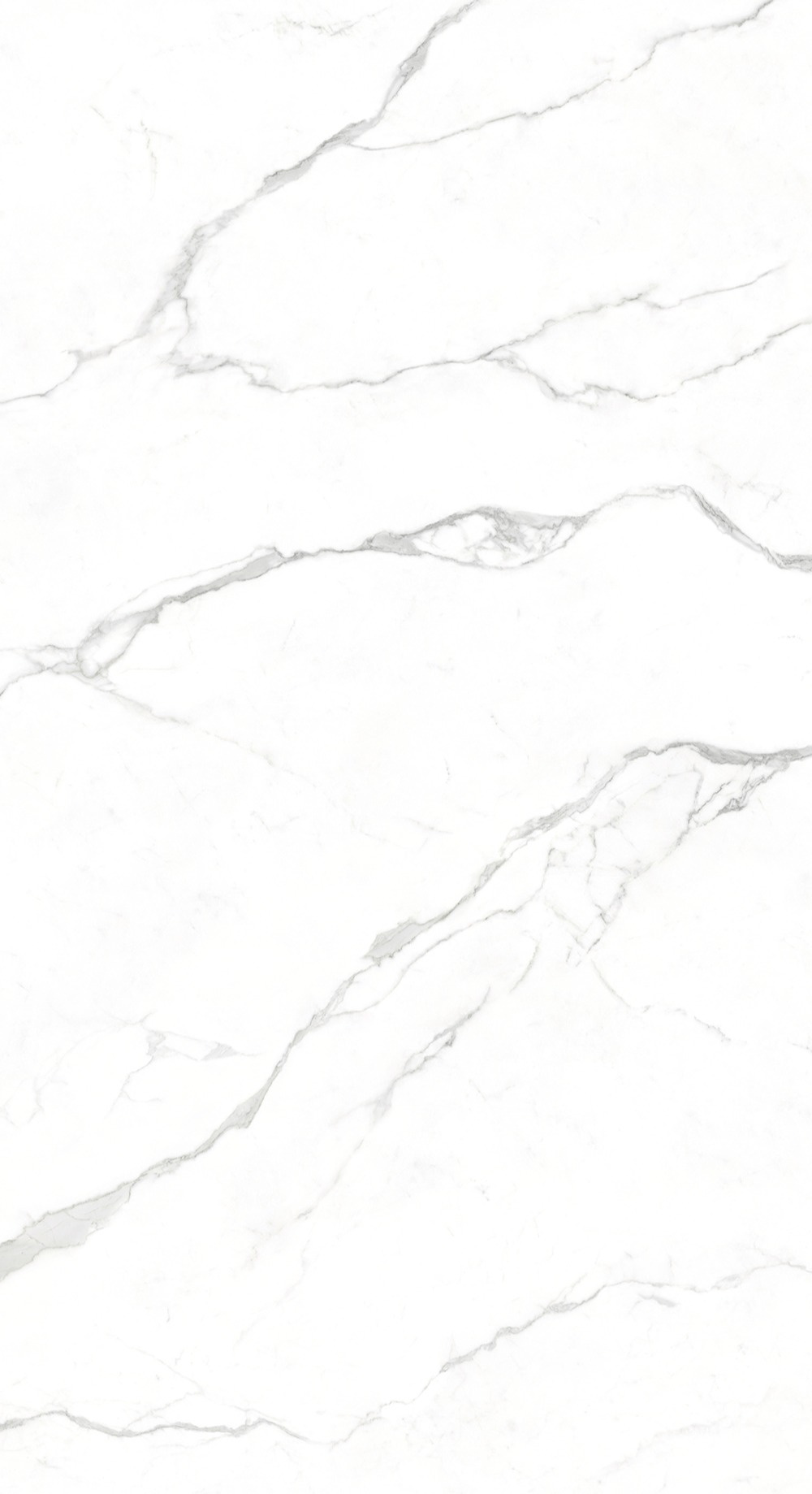 北极星（雪花白