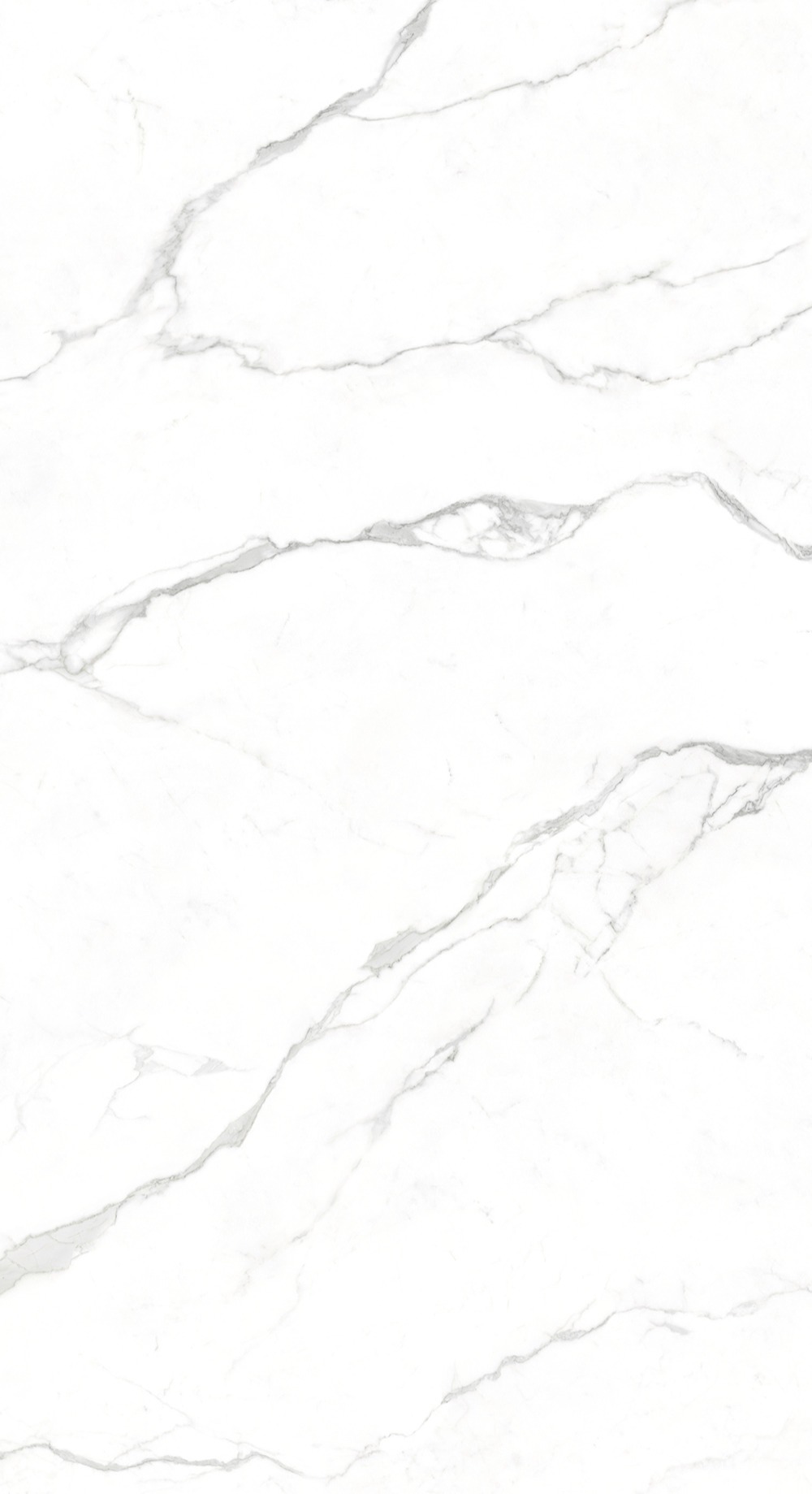 北极星（雪花白）