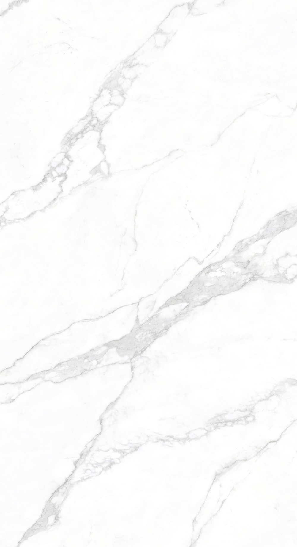 维纳斯 （鱼肚白）