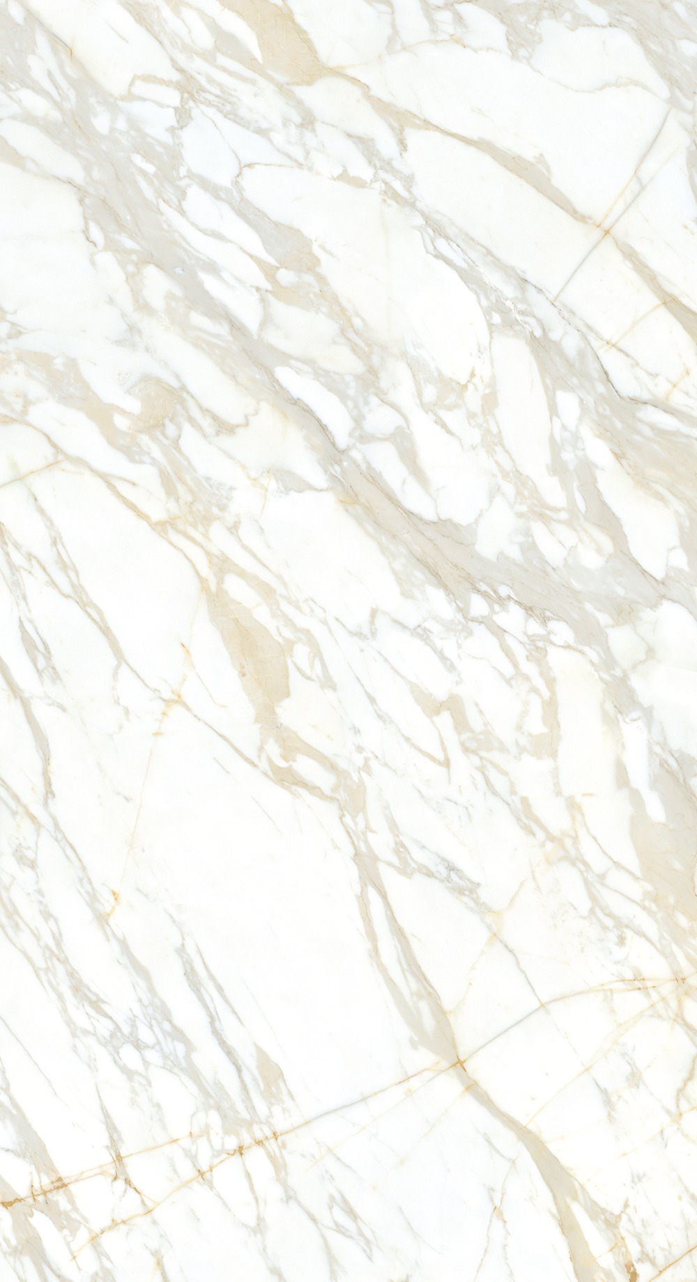 阿拉斯加（鱼肚白）